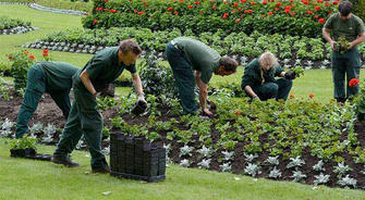 The mission of gardeners: creating a green paradise in the city